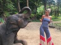 Dajana Gudic odważnie karmi słonia